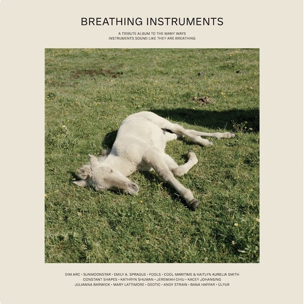 Va | Breathing Instruments - Vinyl