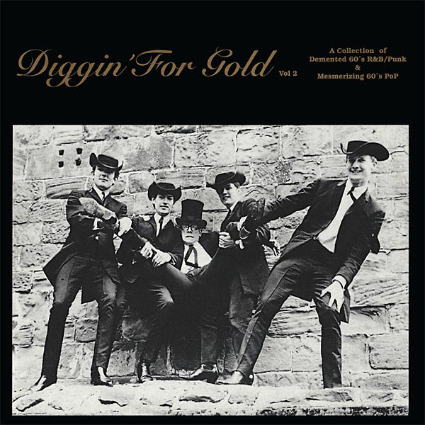 Va | Diggin' For Gold Volume 2 - Vinyl