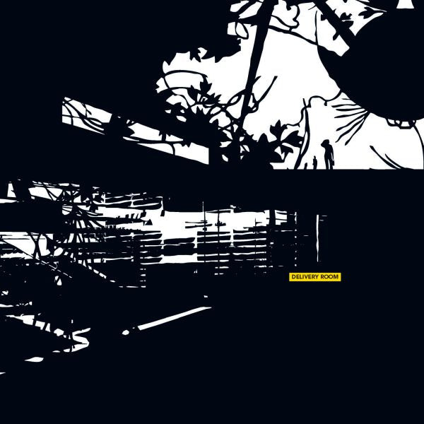 Various Artists | Delivery Room - CD