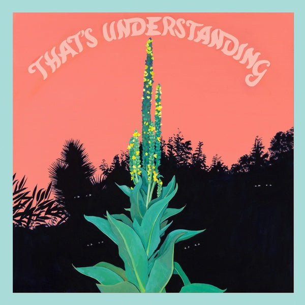 VILLAGE OF SPACES | That's Understanding - CD