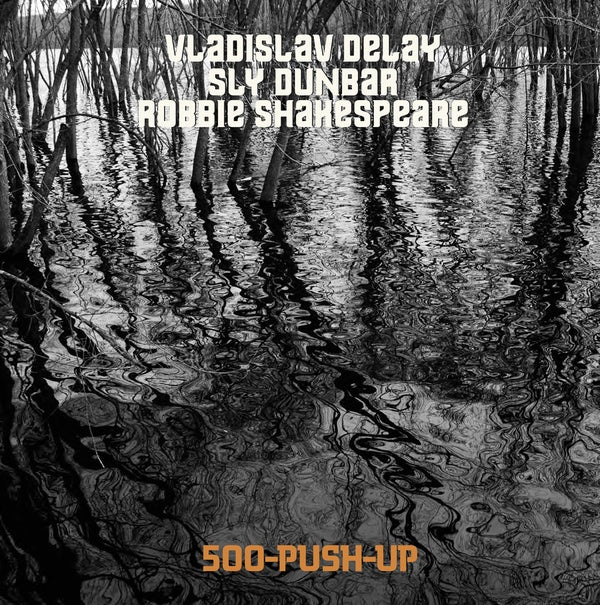 VLADISLAV DELAY/SLY DUNBAR/ROBBIE SHAKESPEARE | 500-Push-Up - CD