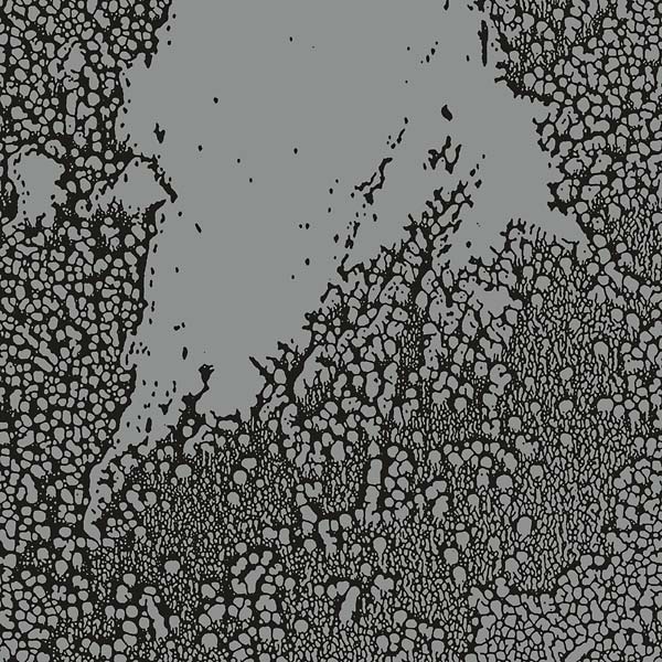 WALLS | Urals - CD