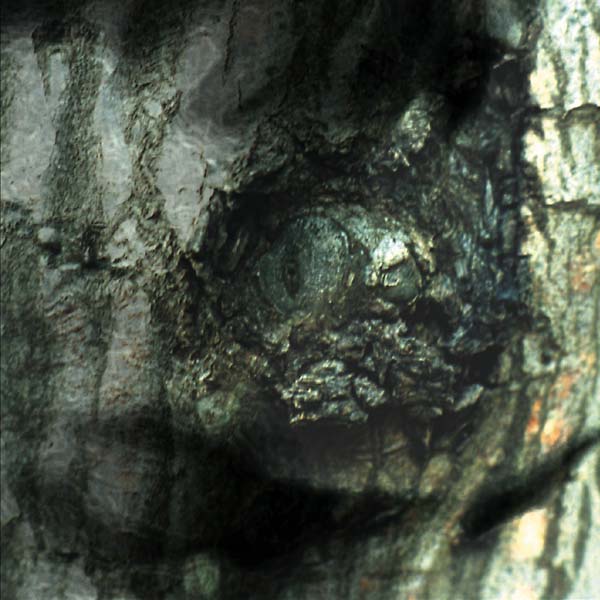 Yann Tiersen | La Valse des Monstres - CD
