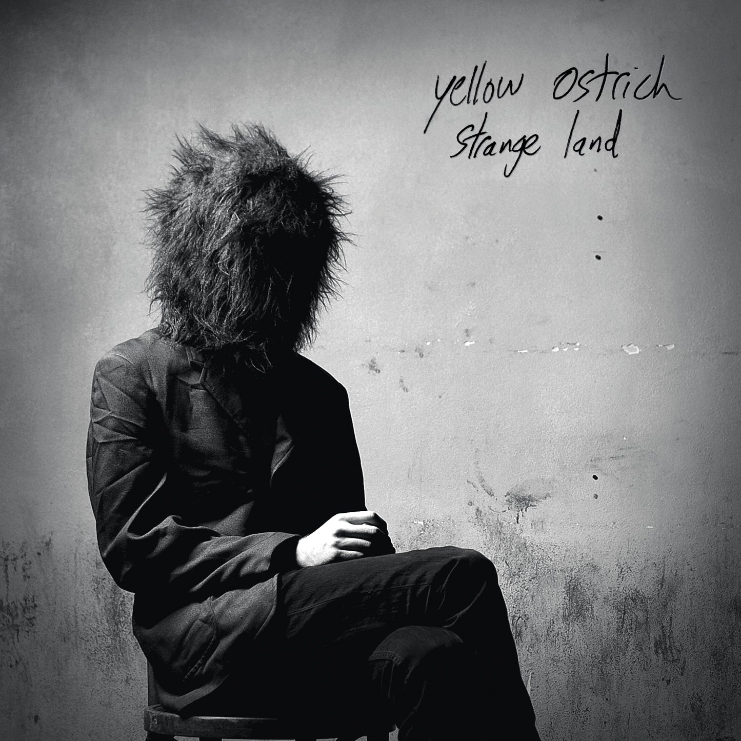 Yellow Ostrich | Strange Land - CD