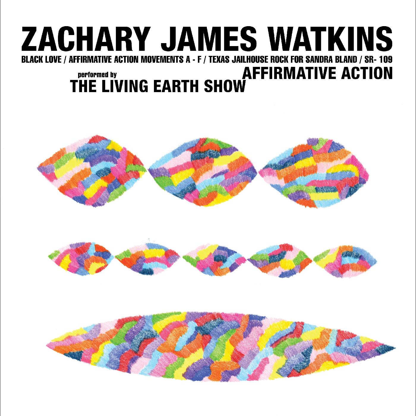 Zachary James Watkins | Affirmative Action - Vinyl