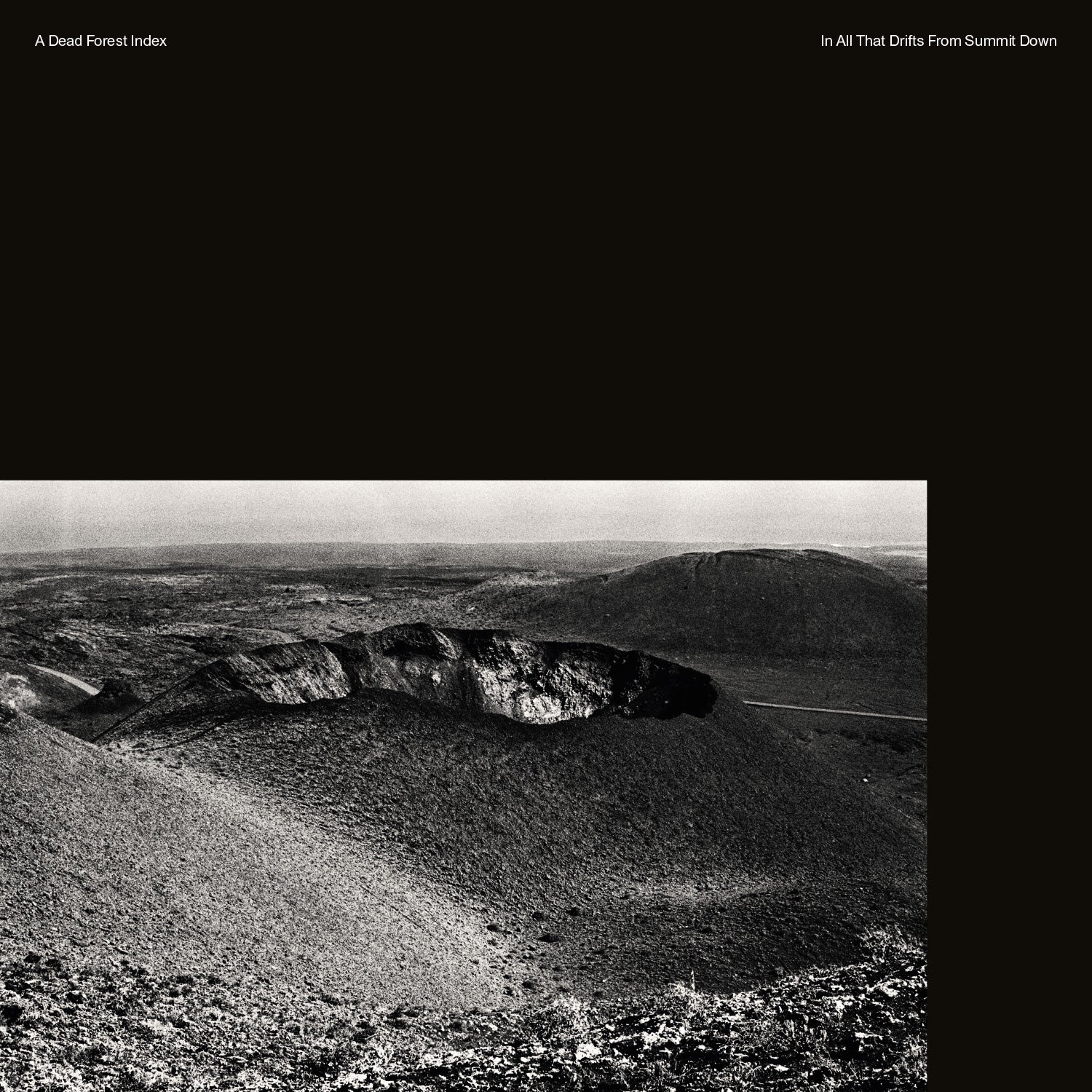 A Dead Forest Index | In All That Drifts From Summit Down - Vinyl