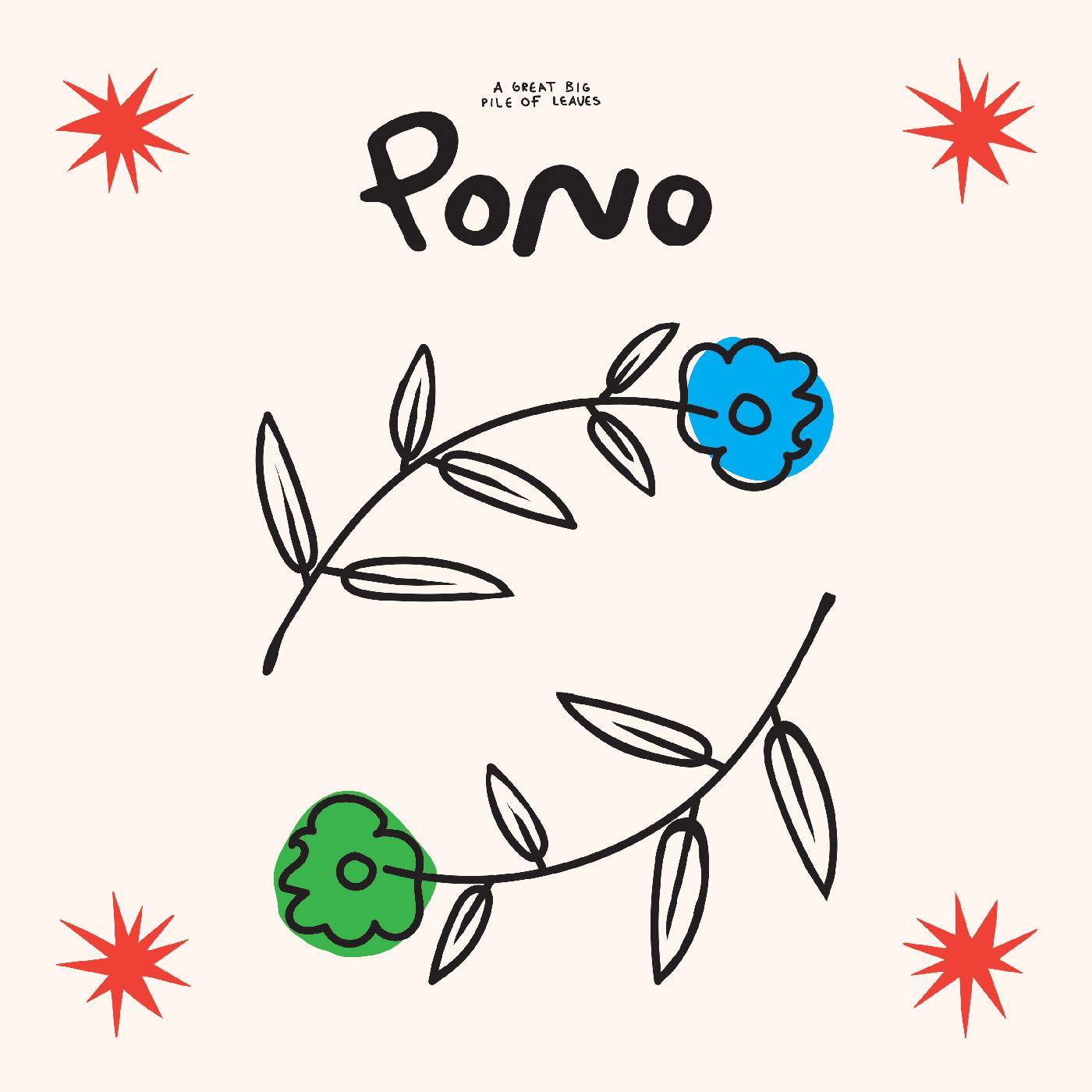 A Great Big Pile of Leaves | Pono - CD