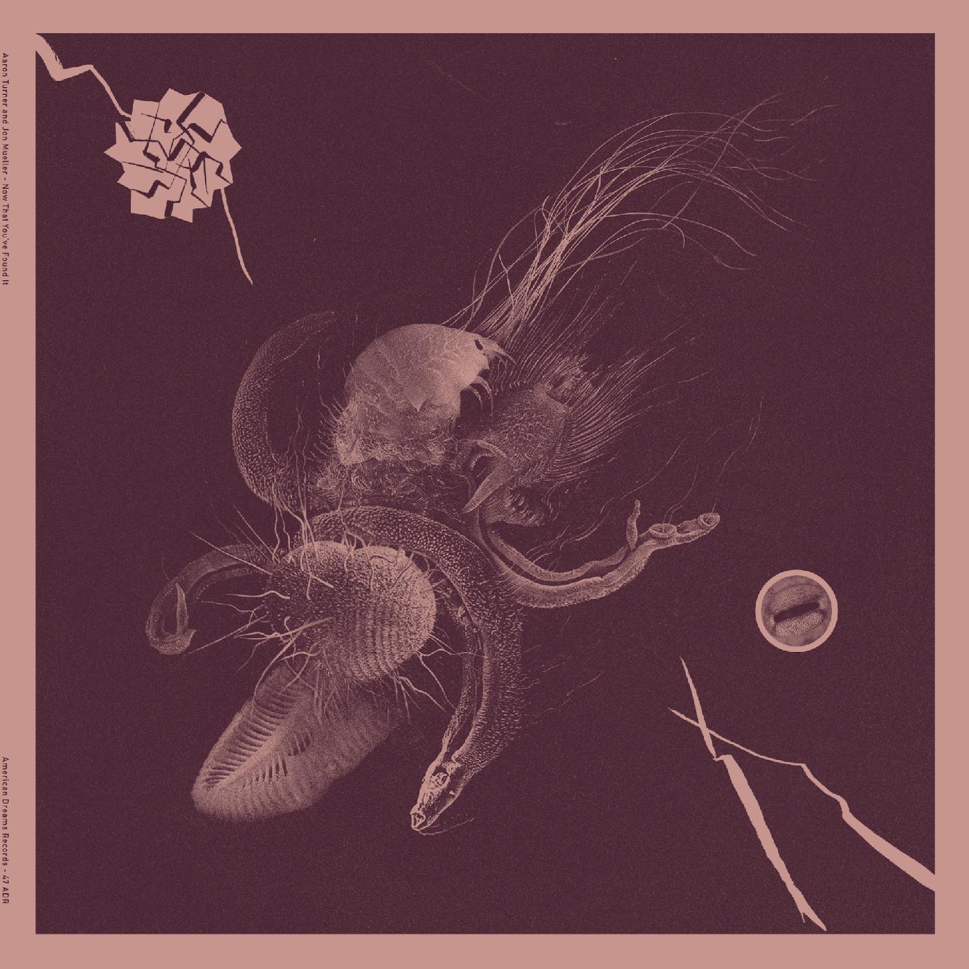 Aaron & Jon Mueller Turner | Now That You've Found It - Vinyl