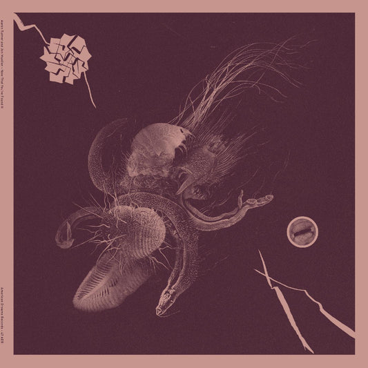 Aaron & Jon Mueller Turner | Now That You've Found It - Vinyl