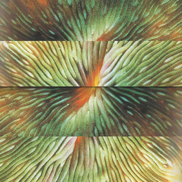 Active Surplus | Mirroring - Vinyl