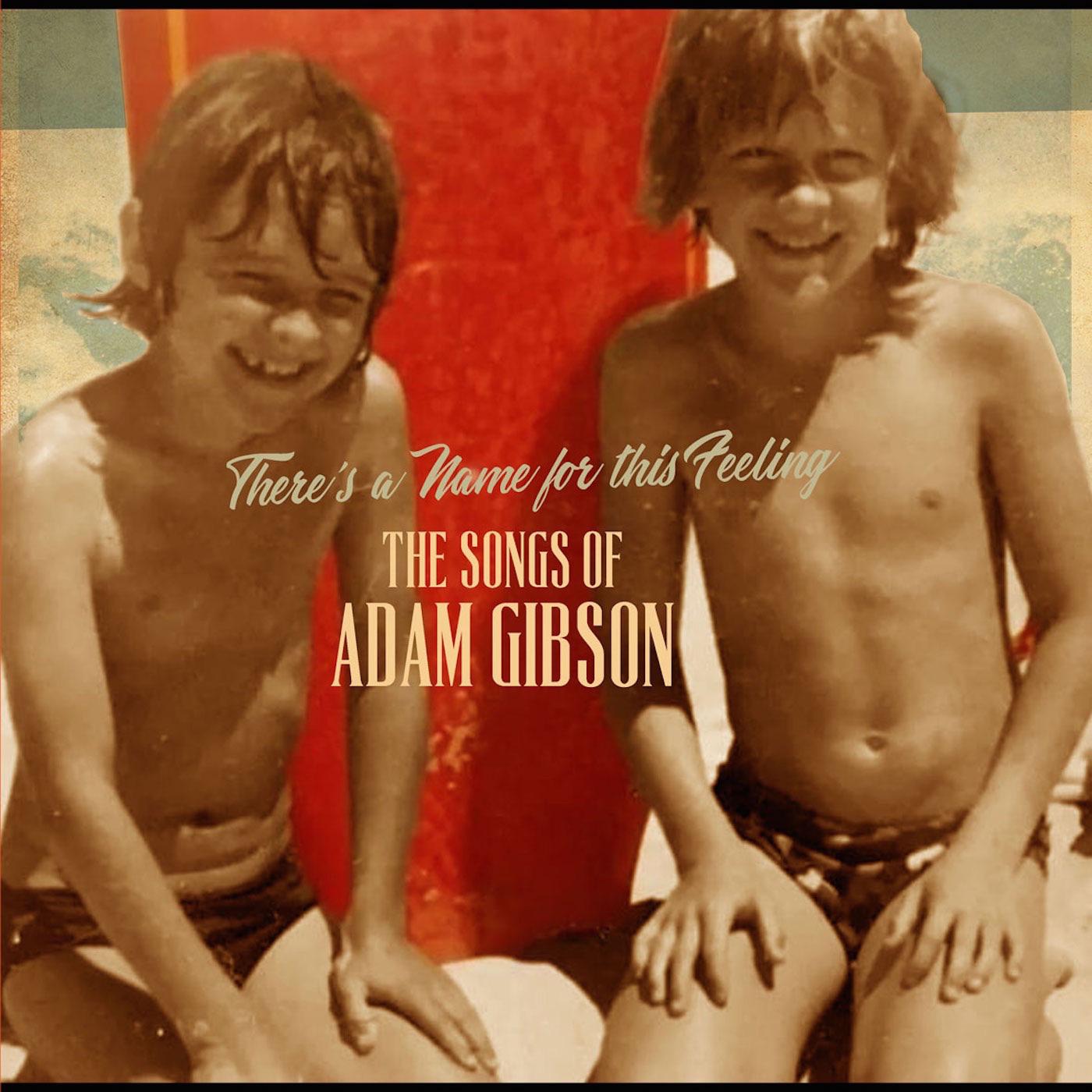 Adam Gibson | The Songs of Adam Gibson - Vinyl