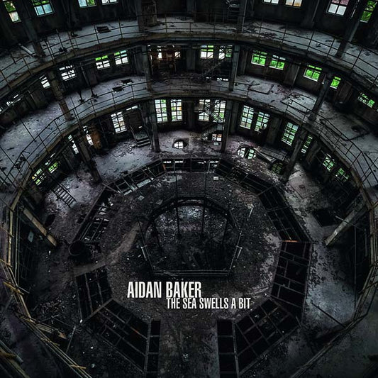 AIDAN BAKER | The Sea Swells a Bit - Vinyl