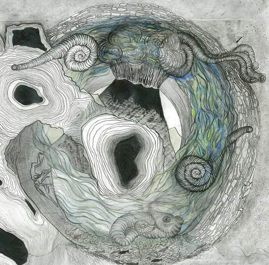 AINE O'DWYER | Gallarais - Vinyl