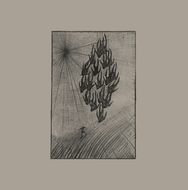 AINE O'DWYER | Locusts - Vinyl