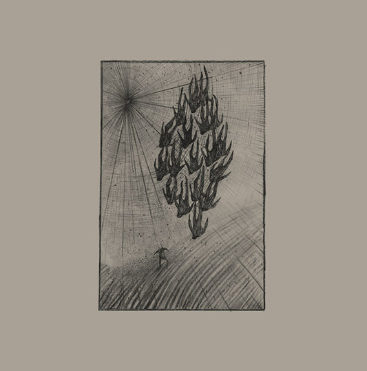 AINE O'DWYER | Locusts - Vinyl