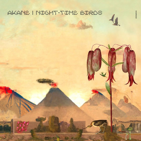 AKANE | Night-Time Birds - Vinyl