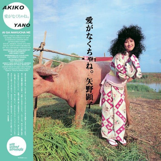 AKIKO YANO | Ai Ga Nakucha Ne - Vinyl