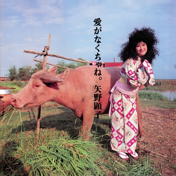AKIKO YANO | Ai Ga Nakucha Ne - CD