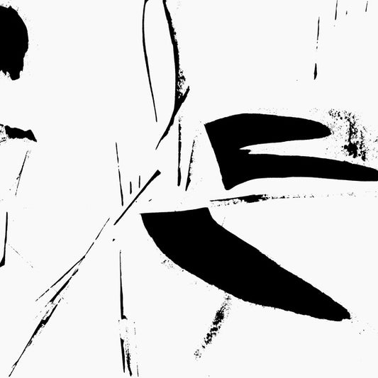 AKIO SUZUKI | Zeitstudie - Vinyl