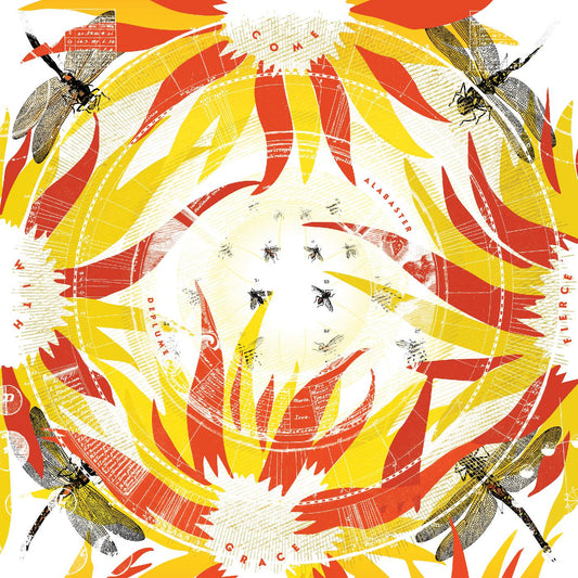 Alabaster DePlume | Come With Fierce Grace - CD