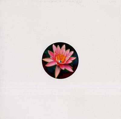 ALEXANDER ROLAND | Balungan - Vinyl