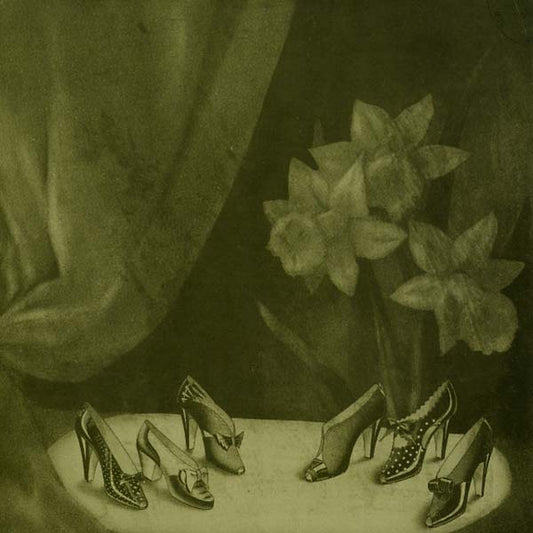 Alice Cohen | Into the Grey Salons - Vinyl