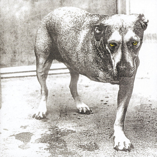 Alice In Chains | Alice In Chains (30th Anniversary Reissue) [Color Vinyl] [2LP] - Vinyl