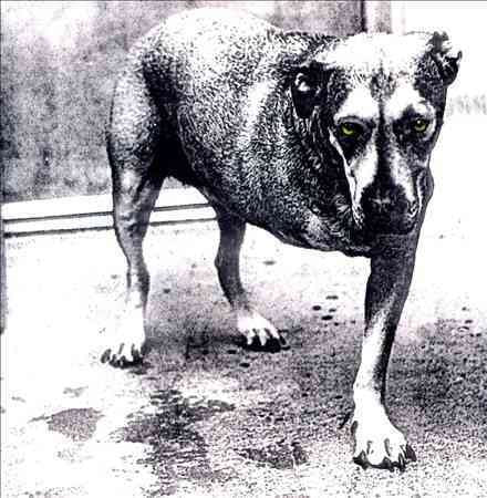 Alice In Chains | Alice in Chains - CD