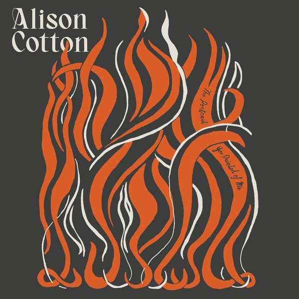 ALISON COTTON | The Portrait You Painted of Me - Vinyl