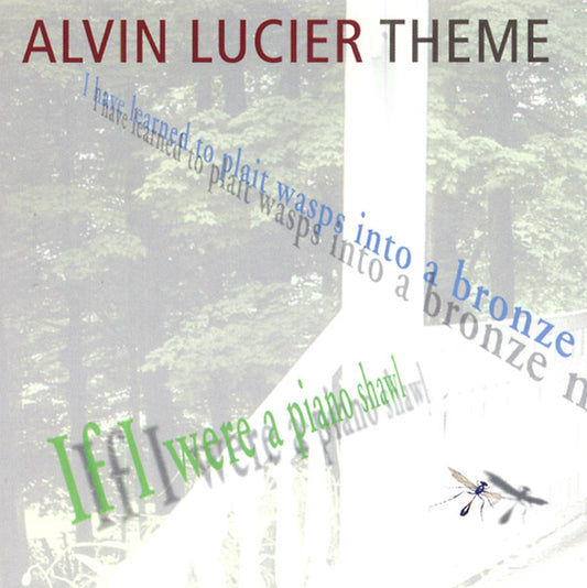 ALVIN LUCIER | Theme - CD
