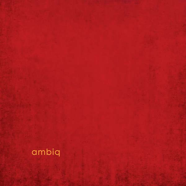 AMBIQ | ambiq - Vinyl