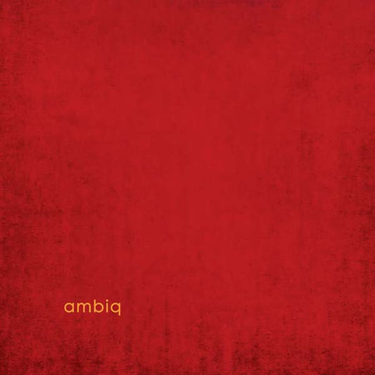 AMBIQ | ambiq - Vinyl