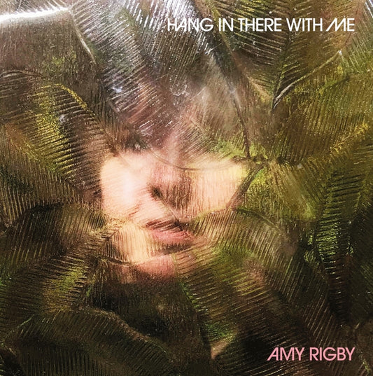 Amy Rigby | Hang In There With Me - CD