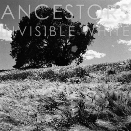 Ancestors | Invisible White (OPAQUE GRAY VINYL) - Vinyl
