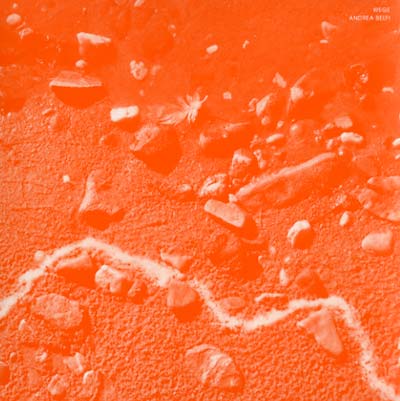 ANDREA BELFI | Wege - CD