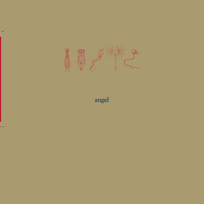 Angel | 26000 - Vinyl