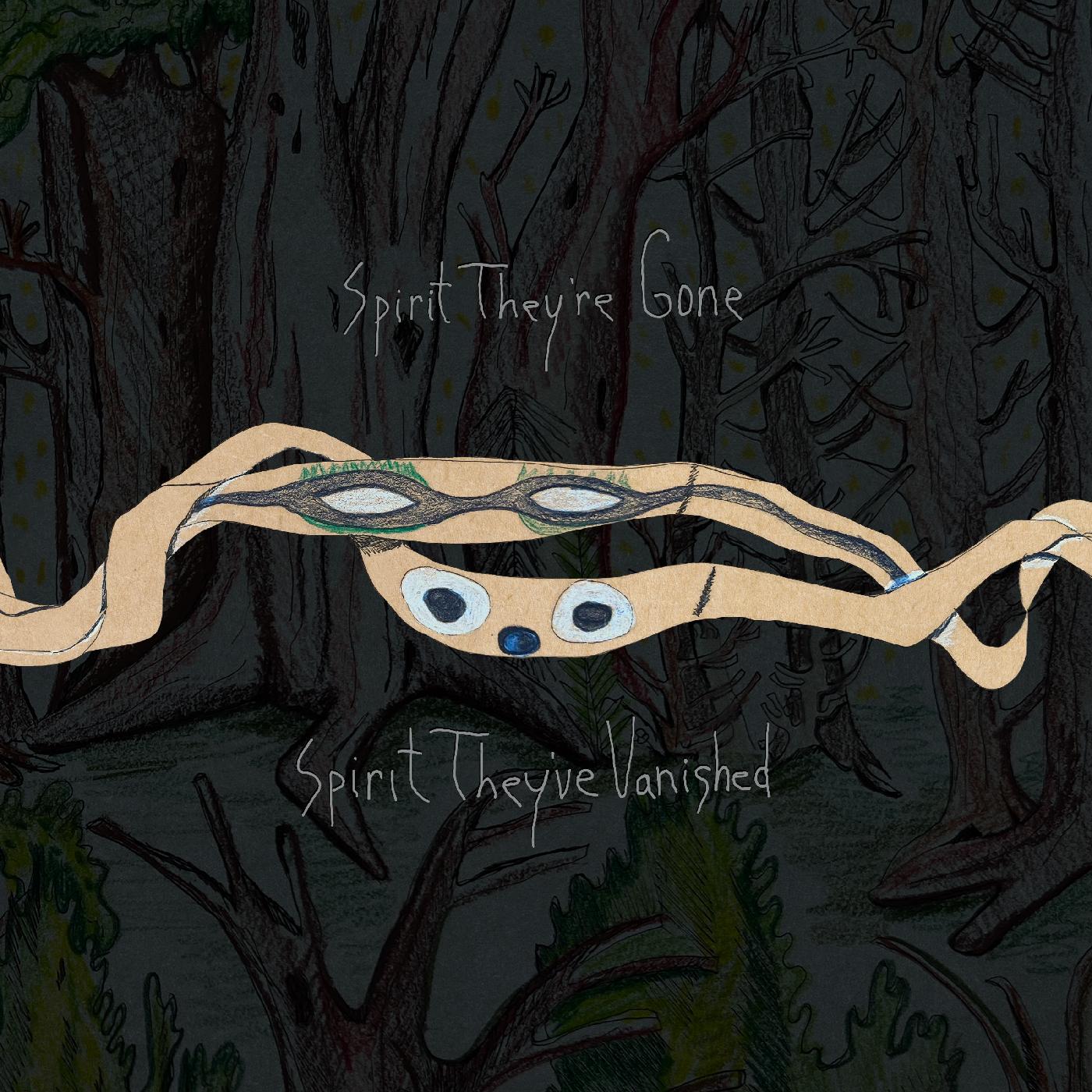 Animal Collective | Spirit They're Gone, Spirit They've Vanished (Remastered 2023) (DELUXE EDITION) - CD