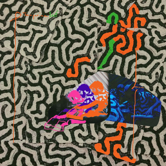 Animal Collective | Tangerine Reef (2 Lp's) - Vinyl