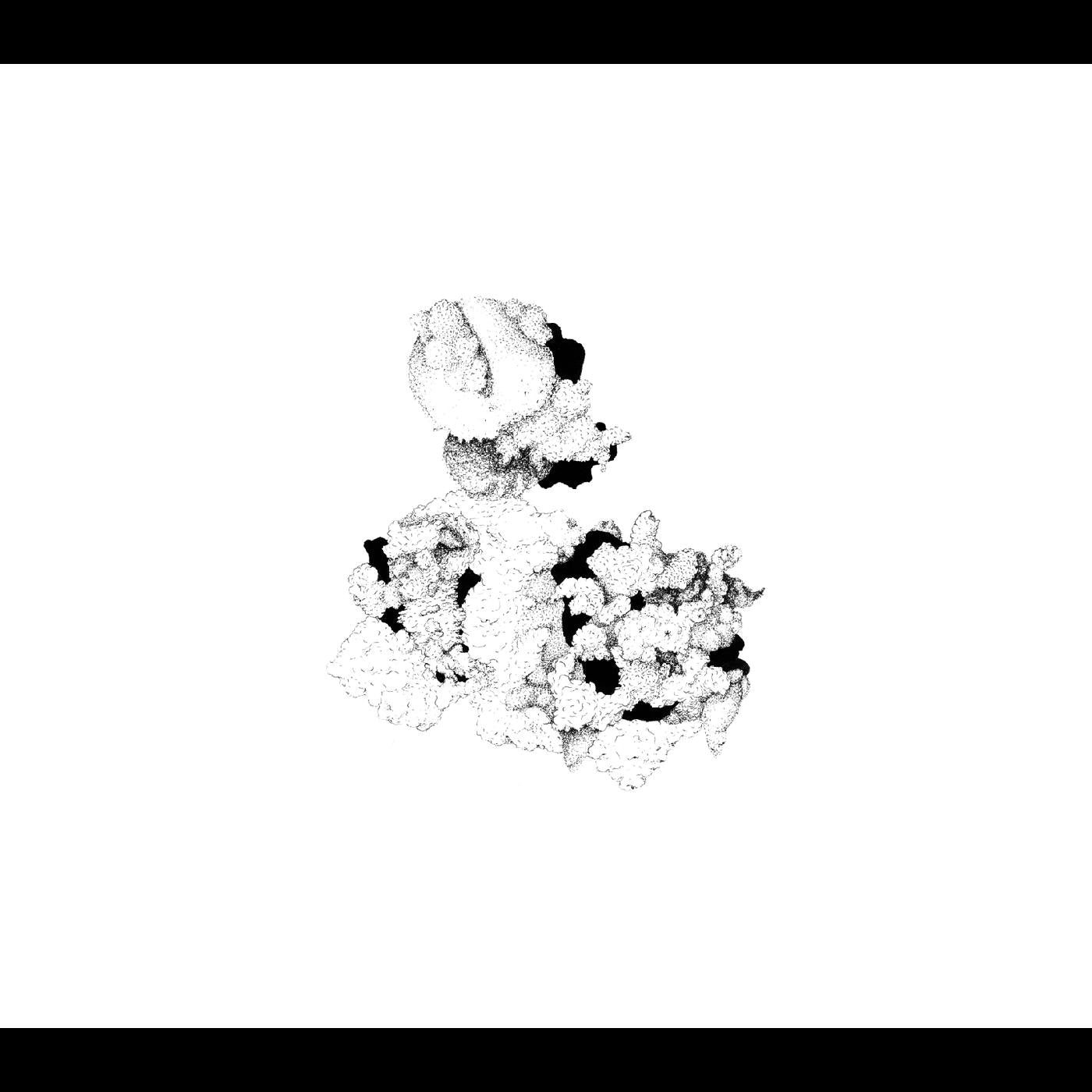 Anna and Matt Mitchell Webber | Capacious Aeration - CD
