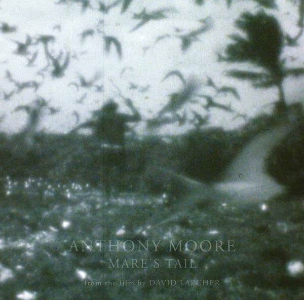 Anthony Moore | Mare's Tail - Vinyl