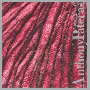 Anthony Pateras | Mutant Theater - CD