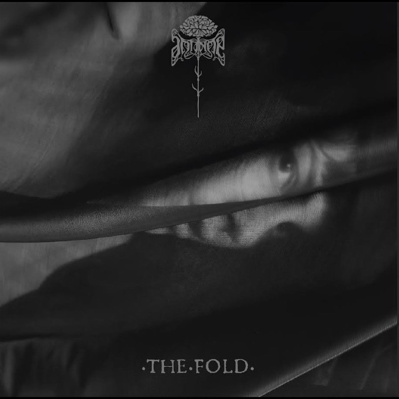 Antinoë | The Fold - CD