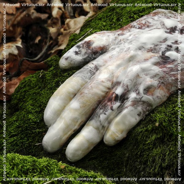 Antwood | Virtuous.scr - CD