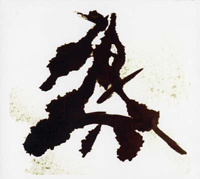 ANTYE GREIE (AKA AGF) | Einzelkämpfer (Lone Warrior) - CD