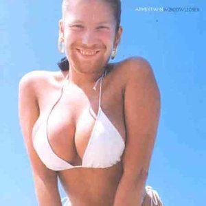 Aphex Twin | Windowlicker - Vinyl