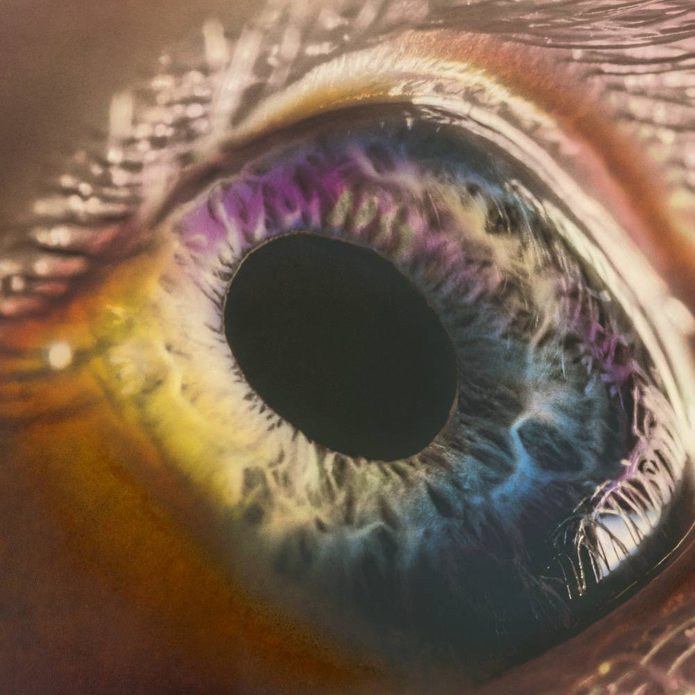 Arcade Fire | WE - CD