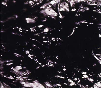ASVA | Presences Of Absences - CD