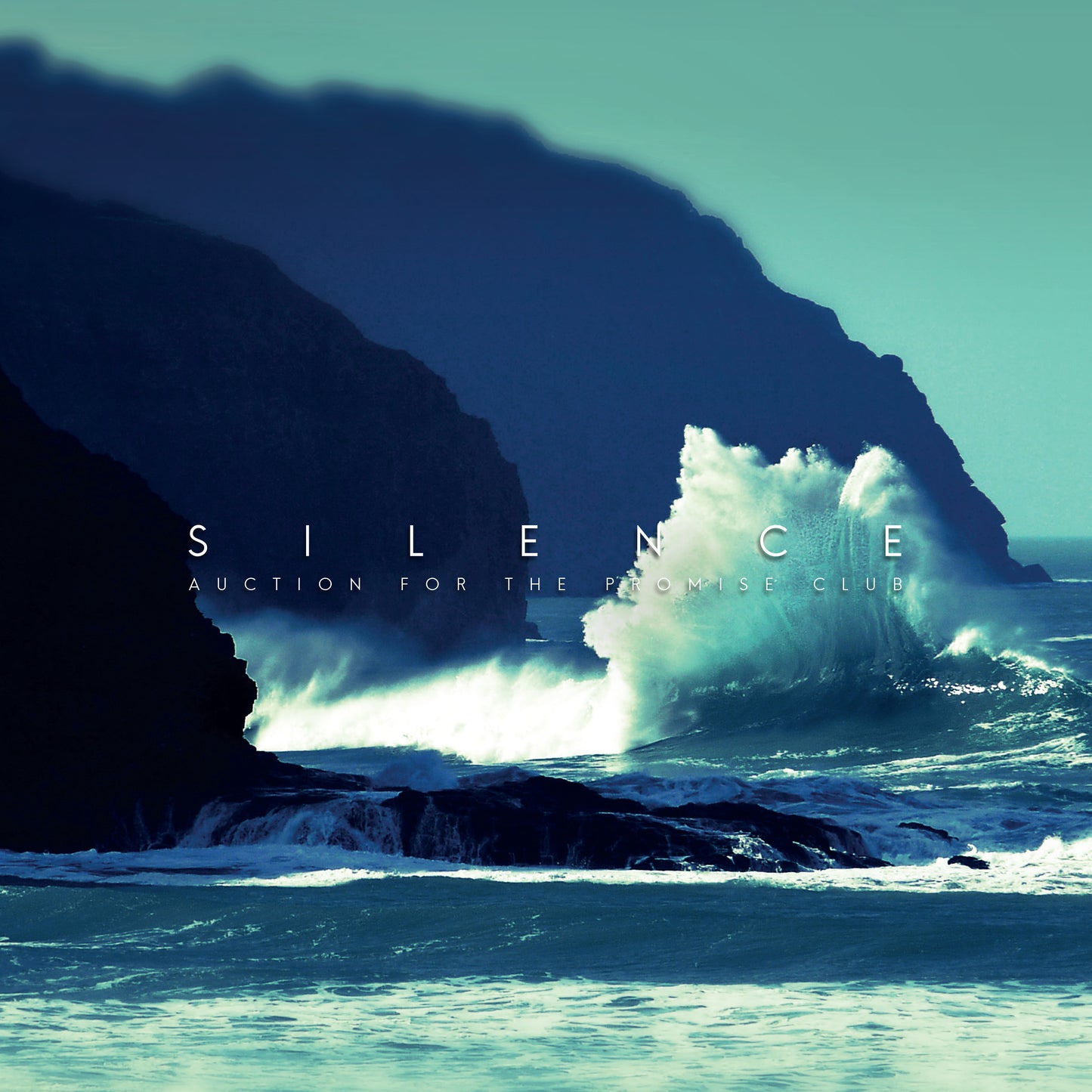 Auction For The Promise Club | Silence - Vinyl