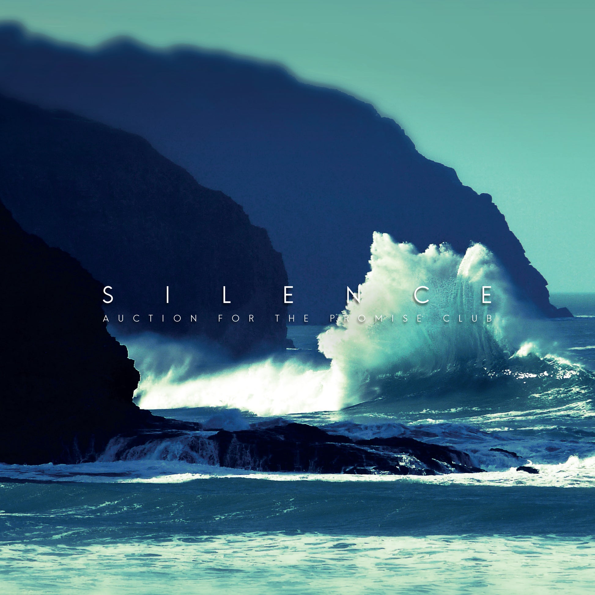 Auction For The Promise Club | Silence - Vinyl
