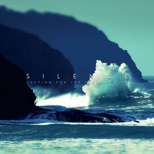 Auction For The Promise Club | Silence - Vinyl